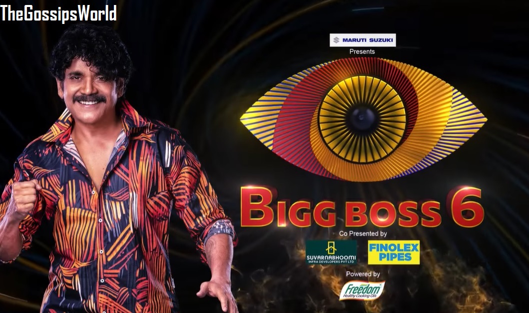 Bigg Boss Telugu Season 6 Winner Name